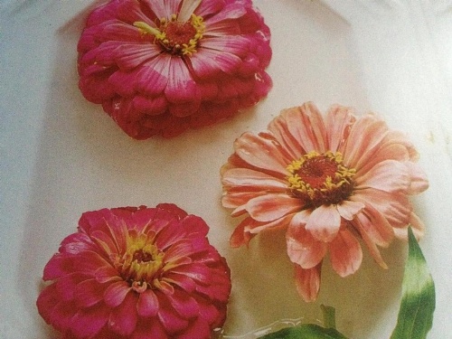 A Cayuga LakeFront Inn - Hotel Alt, Ithaca New York image 10