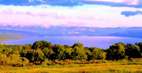 A Cayuga LakeFront Inn - Hotel Alt, Ithaca New York image 15