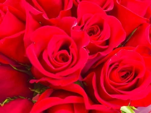 A Cayuga LakeFront Inn - Hotel Alt, Ithaca New York image 23